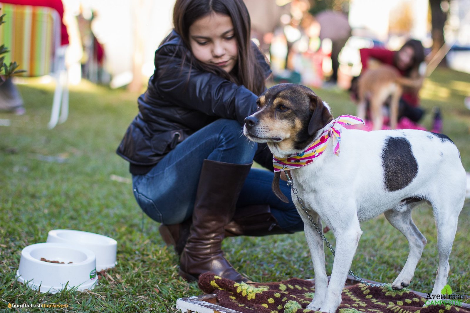 Criança e cão em contato com a natureza